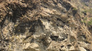 shilajit
